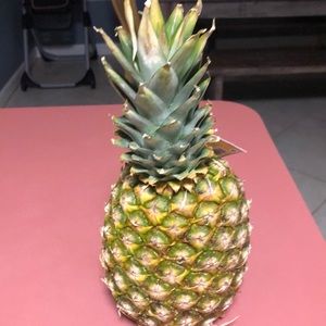 Meet your Posher, Lee